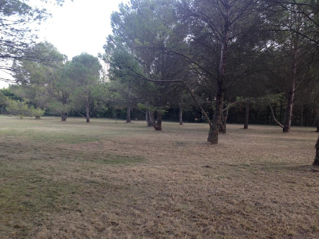 Le Mas de Trévouse Saint-Saturnin-lès-Avignon Esterno foto