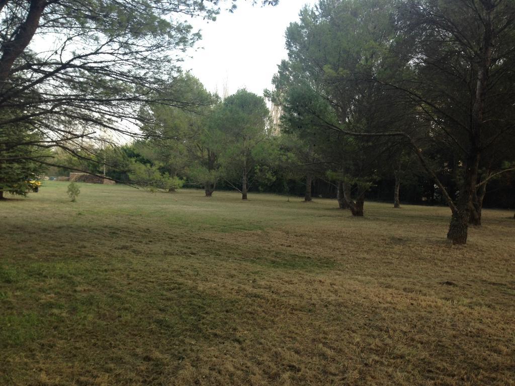 Le Mas de Trévouse Saint-Saturnin-lès-Avignon Esterno foto
