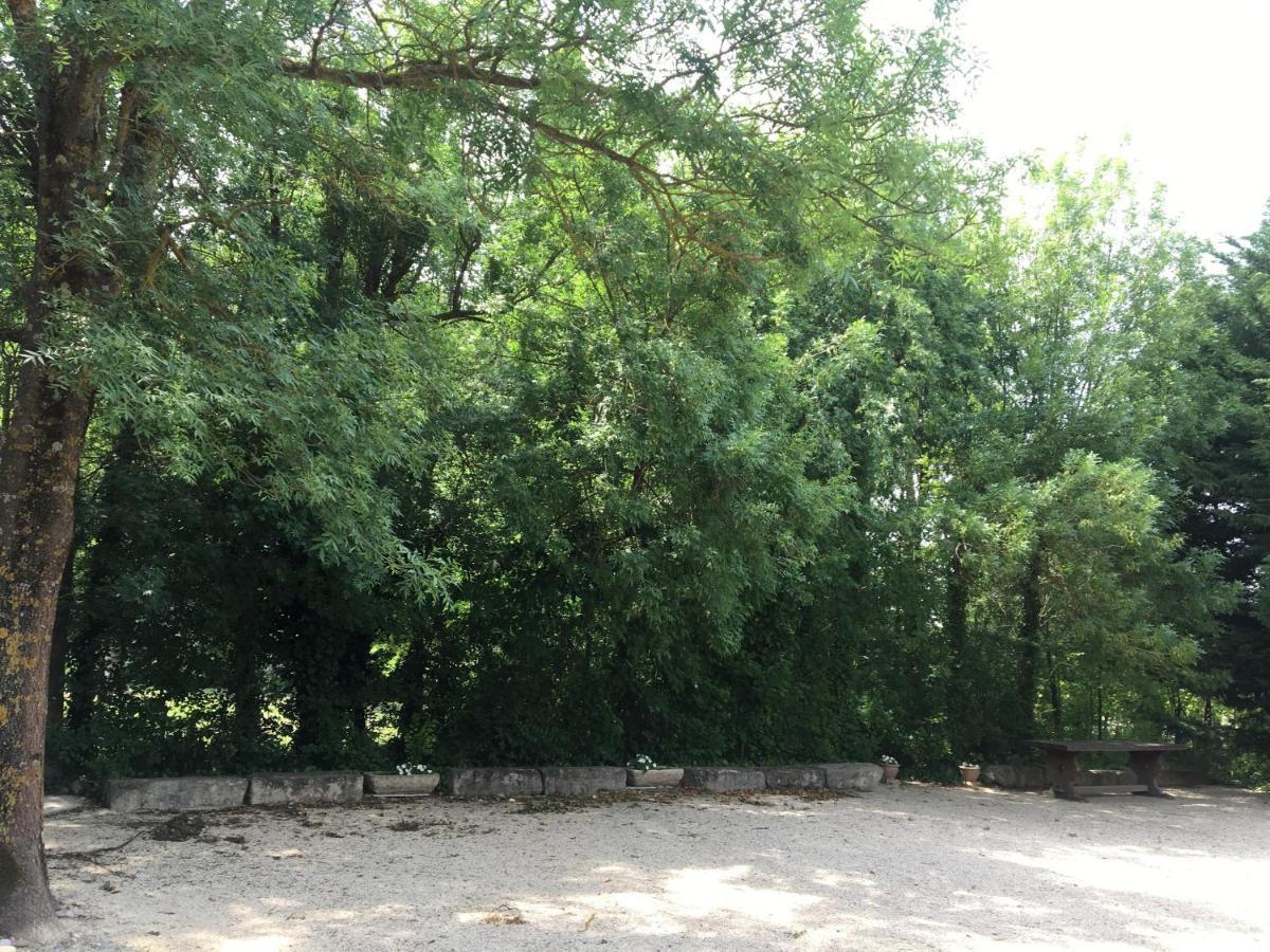 Le Mas de Trévouse Saint-Saturnin-lès-Avignon Esterno foto